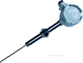 WRN装配热电偶（铠装热电偶）