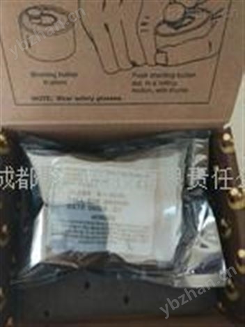 B-2CXL氧氣傳感器