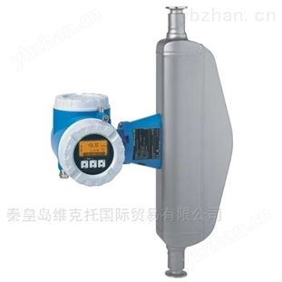 德國E+H質量流量計 錐形流量計