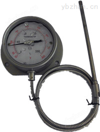 WTY-280 电站用压力式温度计