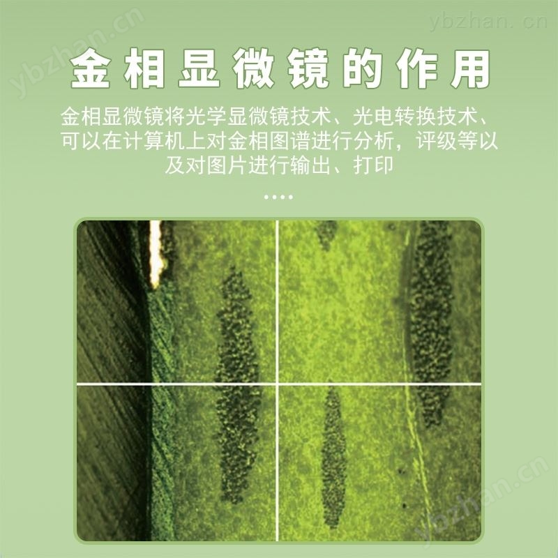 正置光學(xué)金相顯微鏡高精度自動(dòng)變倍測(cè)量對(duì)焦