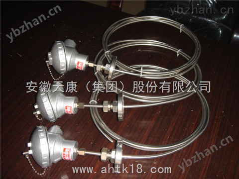 WREK-591天康鎧裝熱電偶