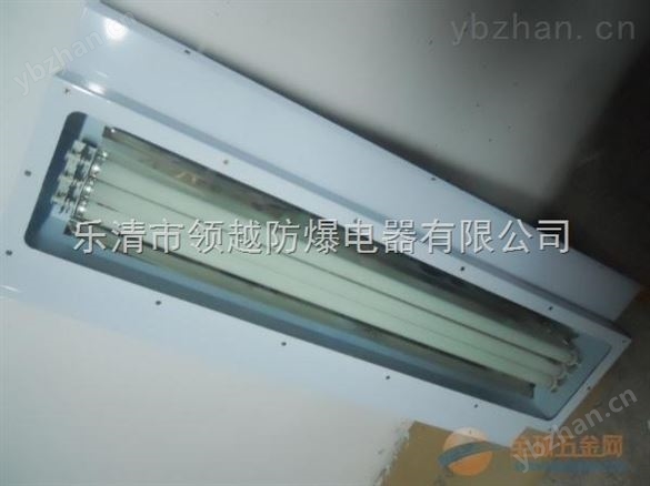 FAY-2*28xJ應急式防水防塵防腐熒光燈