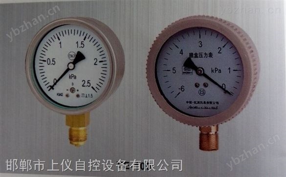 YE系列膜盒壓力表
